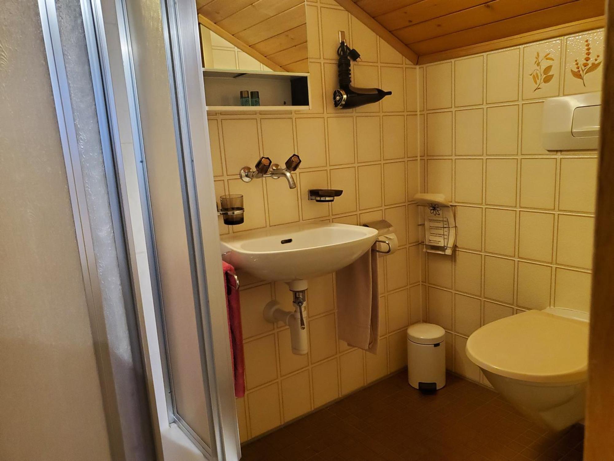 Hotel Garni Alpenruh Lenk Esterno foto